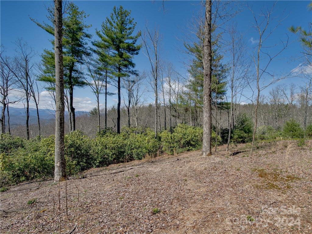 8b Reserve Road Property Photo 4