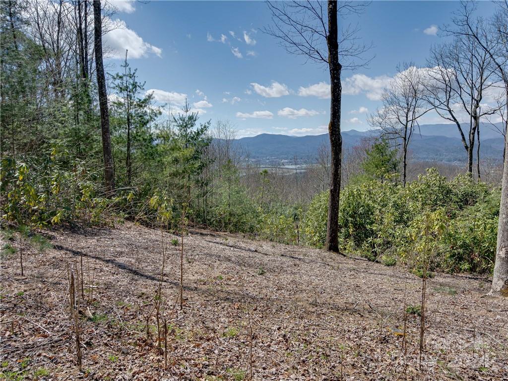 8b Reserve Road Property Photo 6