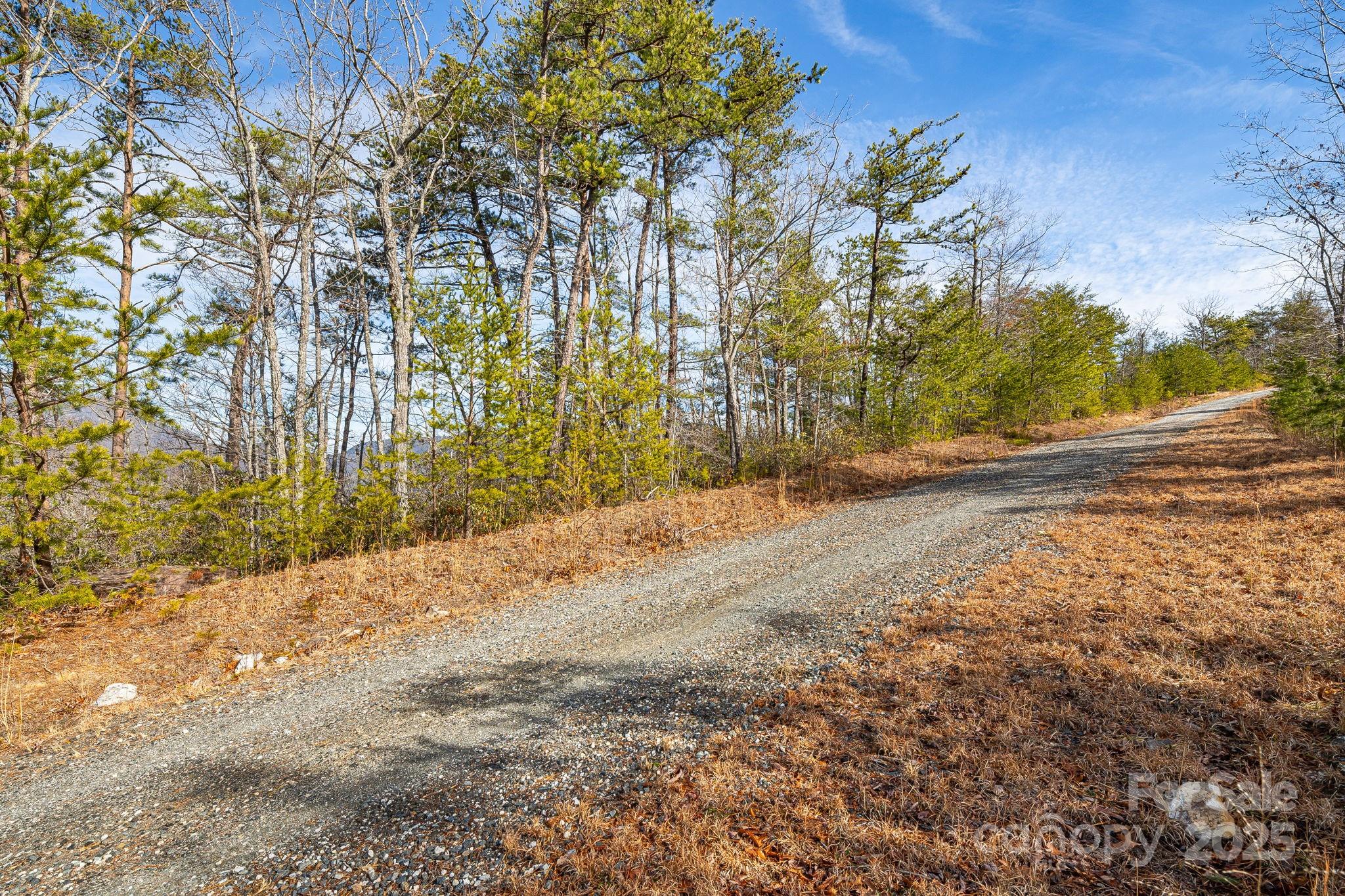000 Fox Ridge Trail 17 Property Photo 4