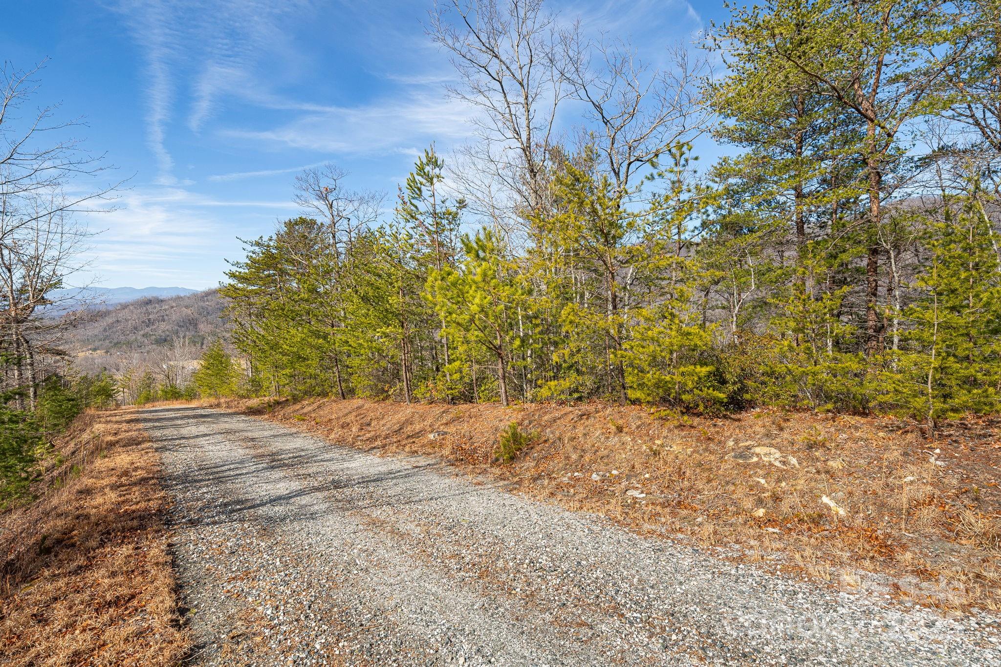 000 Fox Ridge Trail 17 Property Photo 5
