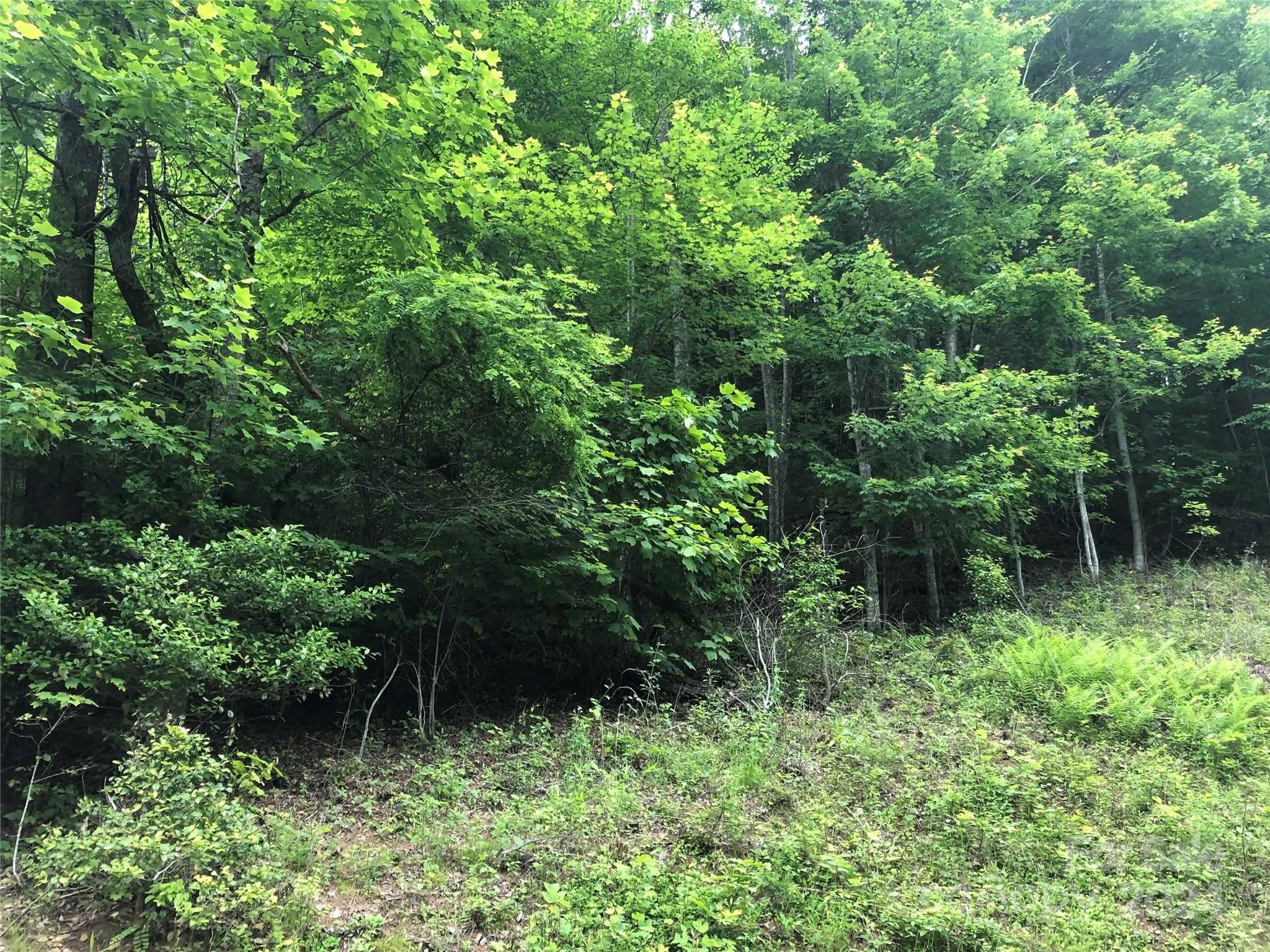 000 N Blue Ridge Parkway 167