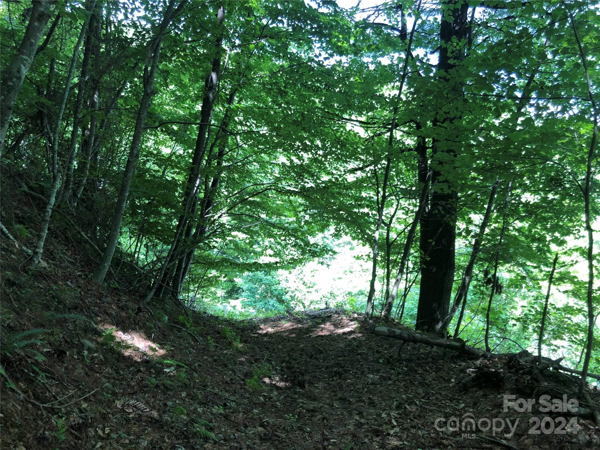 000 N Blue Ridge Parkway 167 Property Photo 2