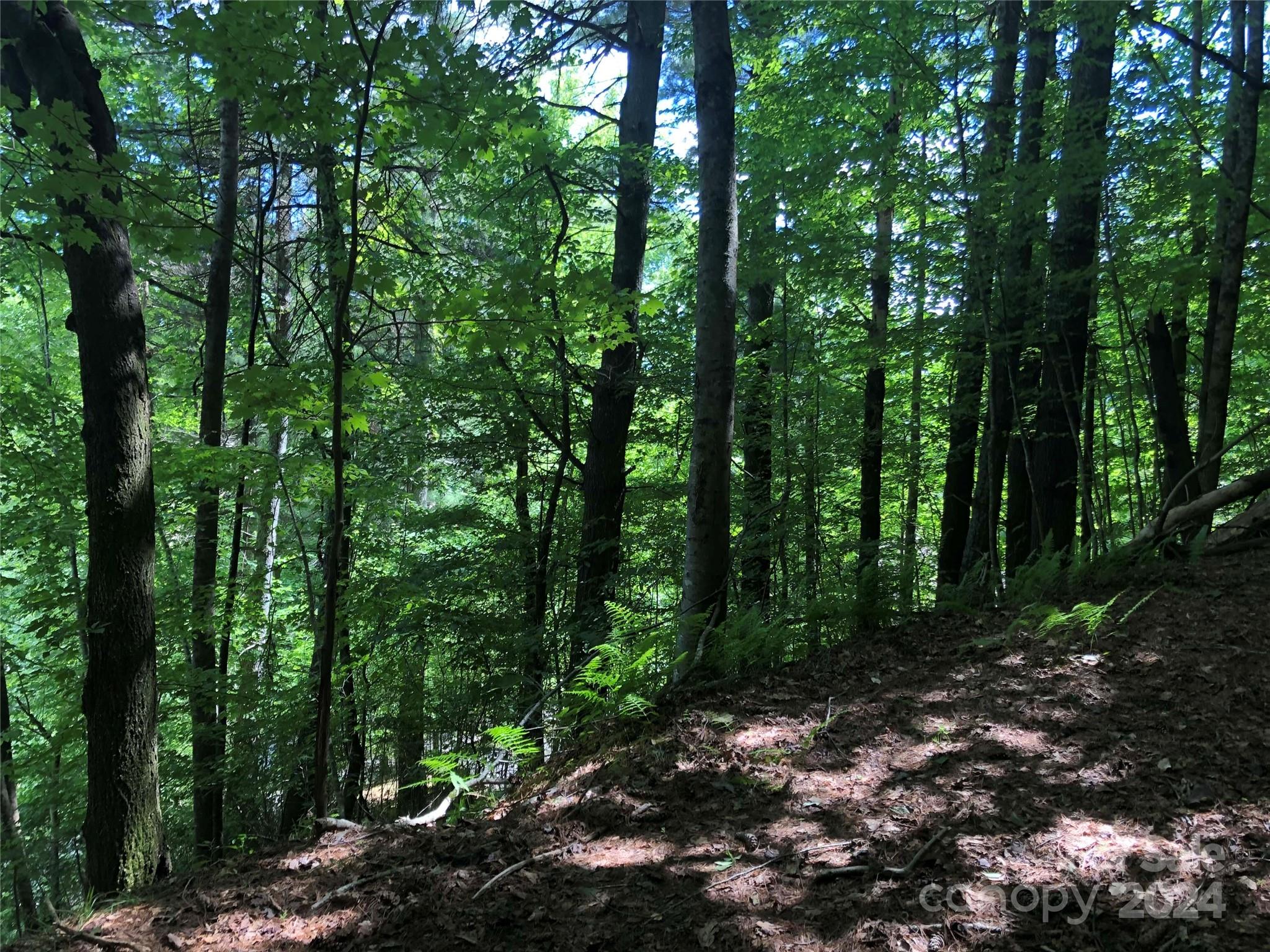 000 N Blue Ridge Parkway 167 Property Photo 4