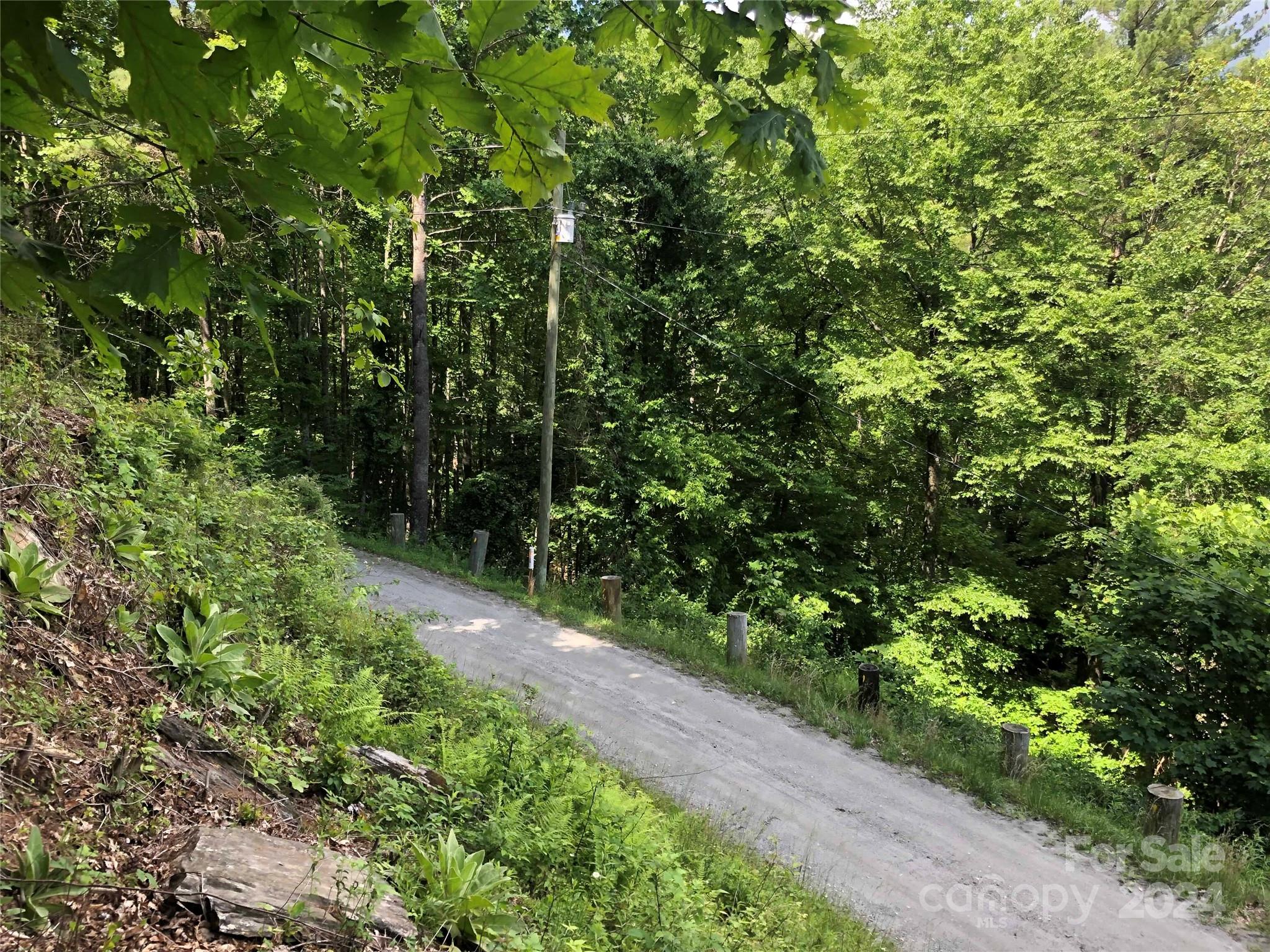 000 N Blue Ridge Parkway 167 Property Photo 5