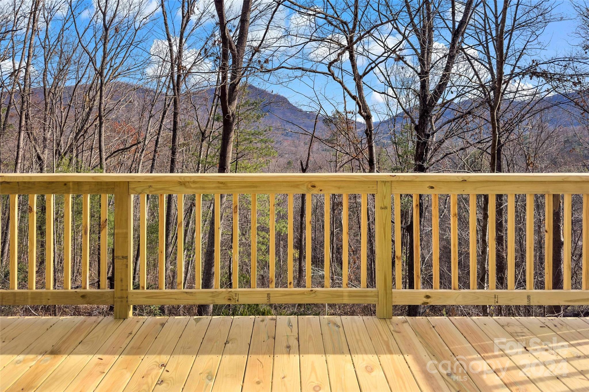 123 Avondale Ridge Road Property Photo 6