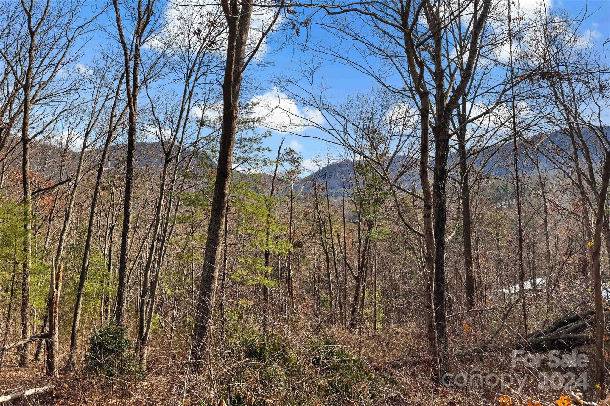 123 Avondale Ridge Road Property Photo 7