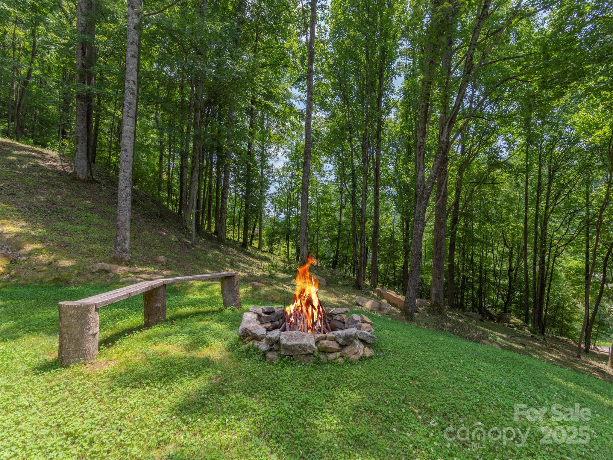62 Sallys Branch Road Property Photo 24