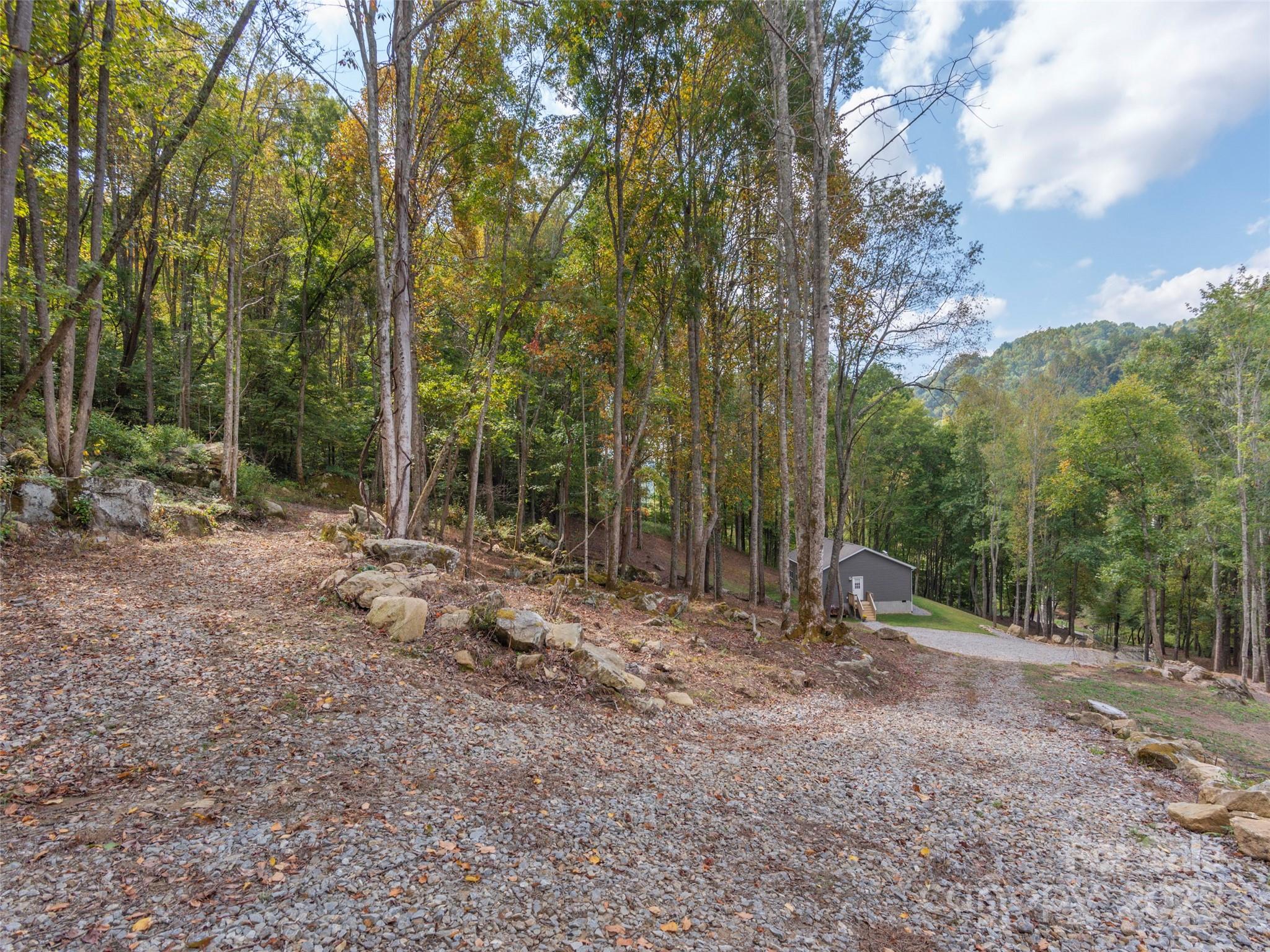 62 Sallys Branch Road Property Photo 25
