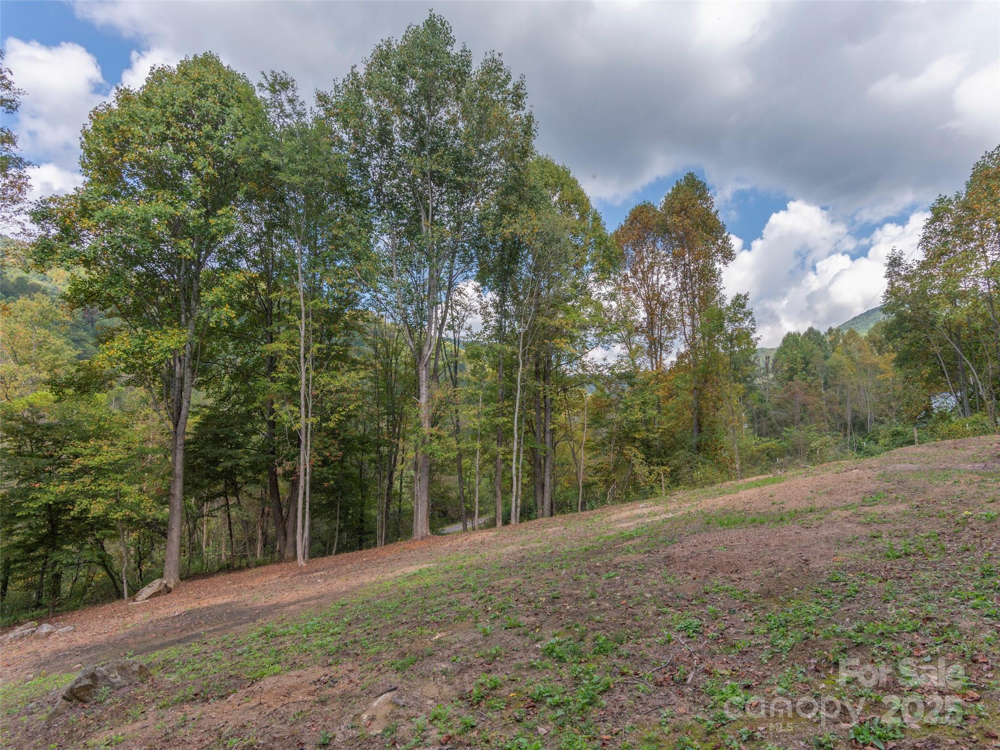 62 Sallys Branch Road Property Photo 26