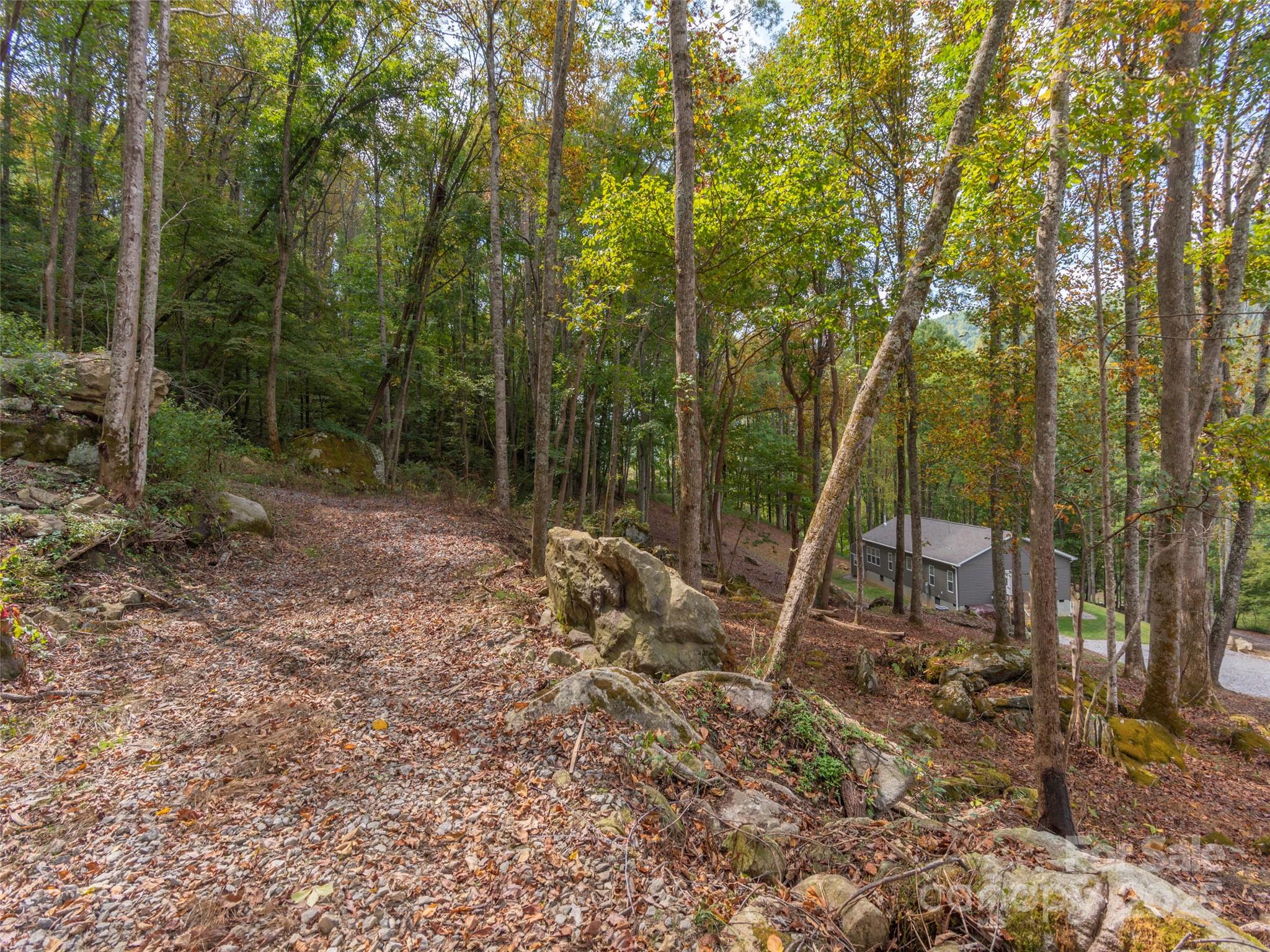 62 Sallys Branch Road Property Photo 28