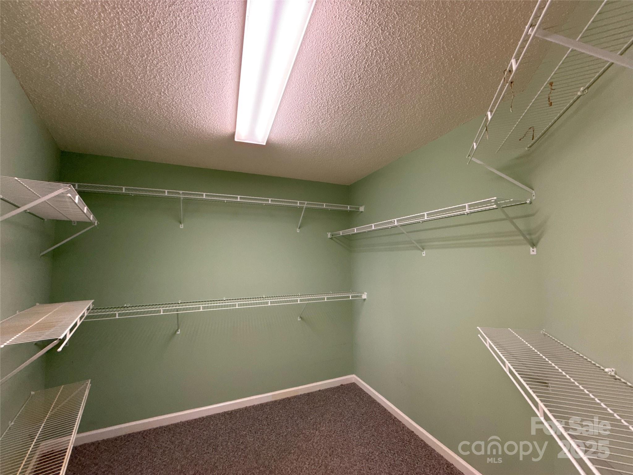 24 Loridon Drive Property Photo 31