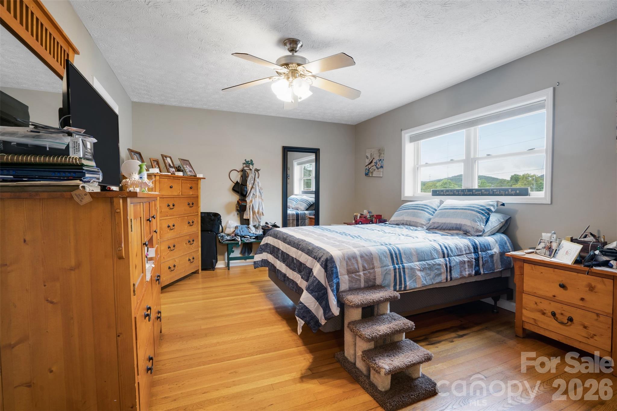 6 Sanderson Street Property Photo 15