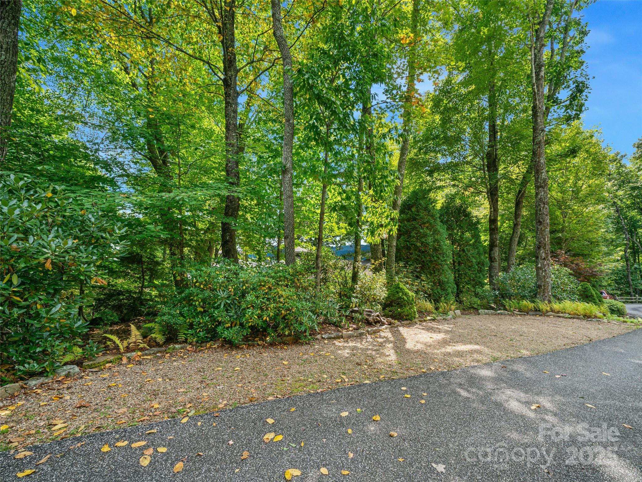 393 Deer Trail Drive Property Photo 36