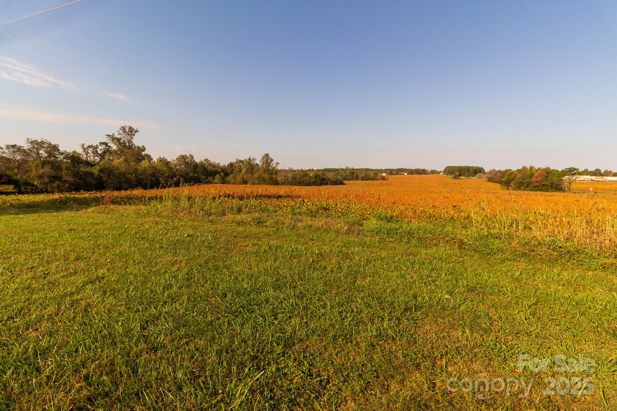 00 Lattimore Road Property Photo 13