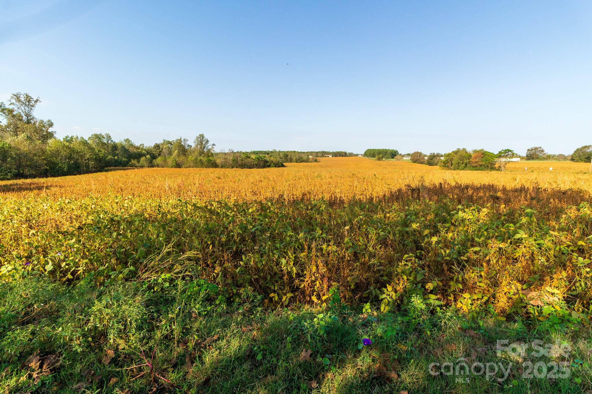 00 Lattimore Road Property Photo 14