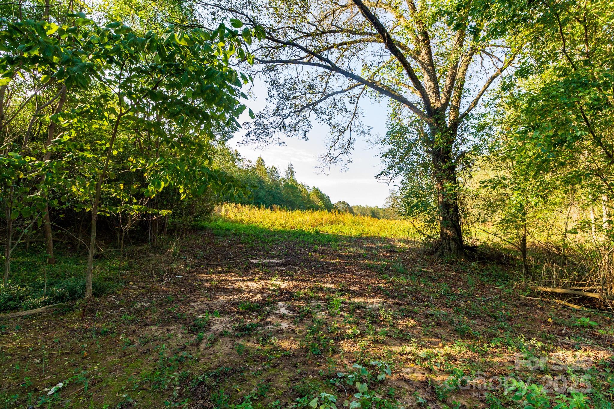 00 Lattimore Road Property Photo 16