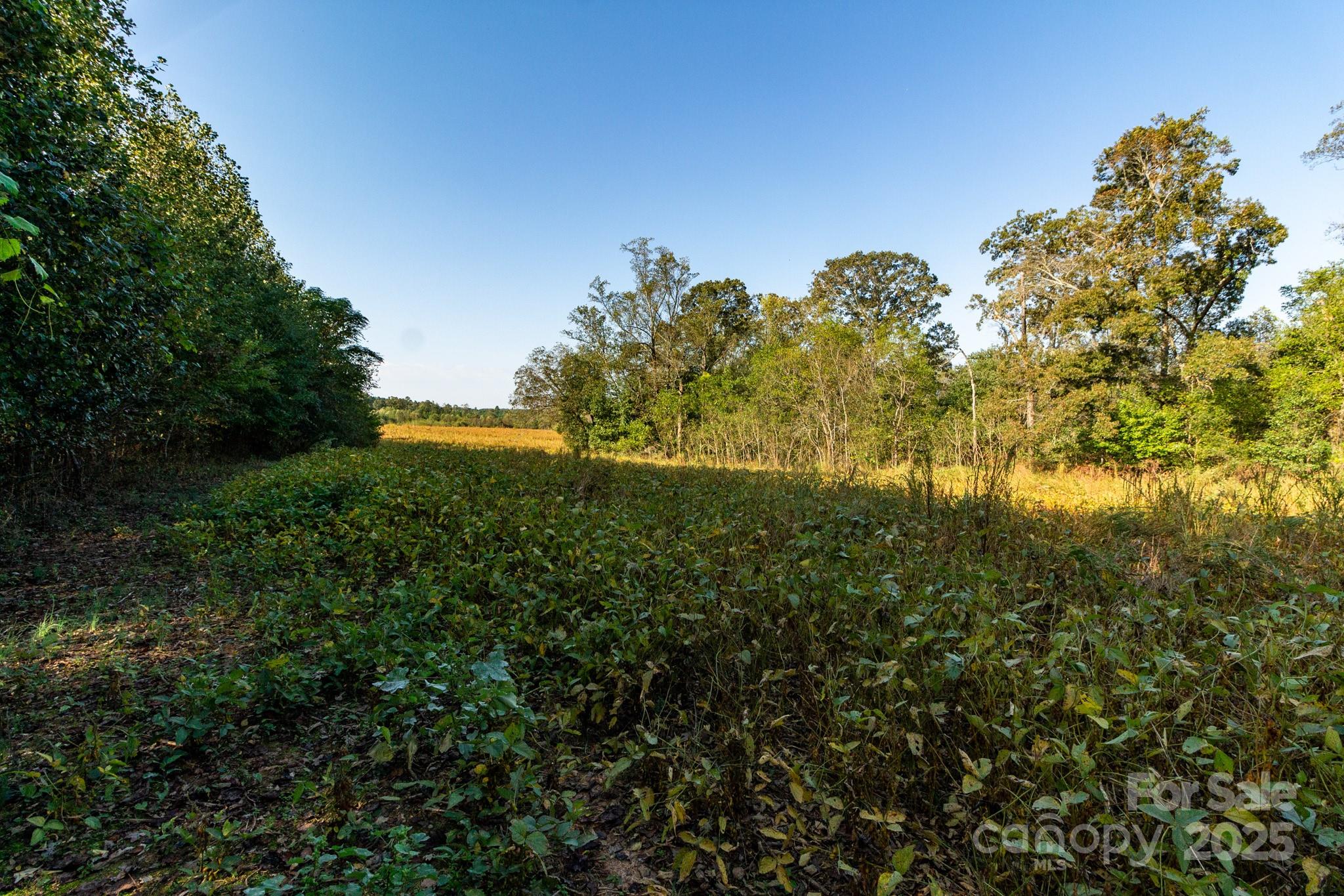 00 Lattimore Road Property Photo 18