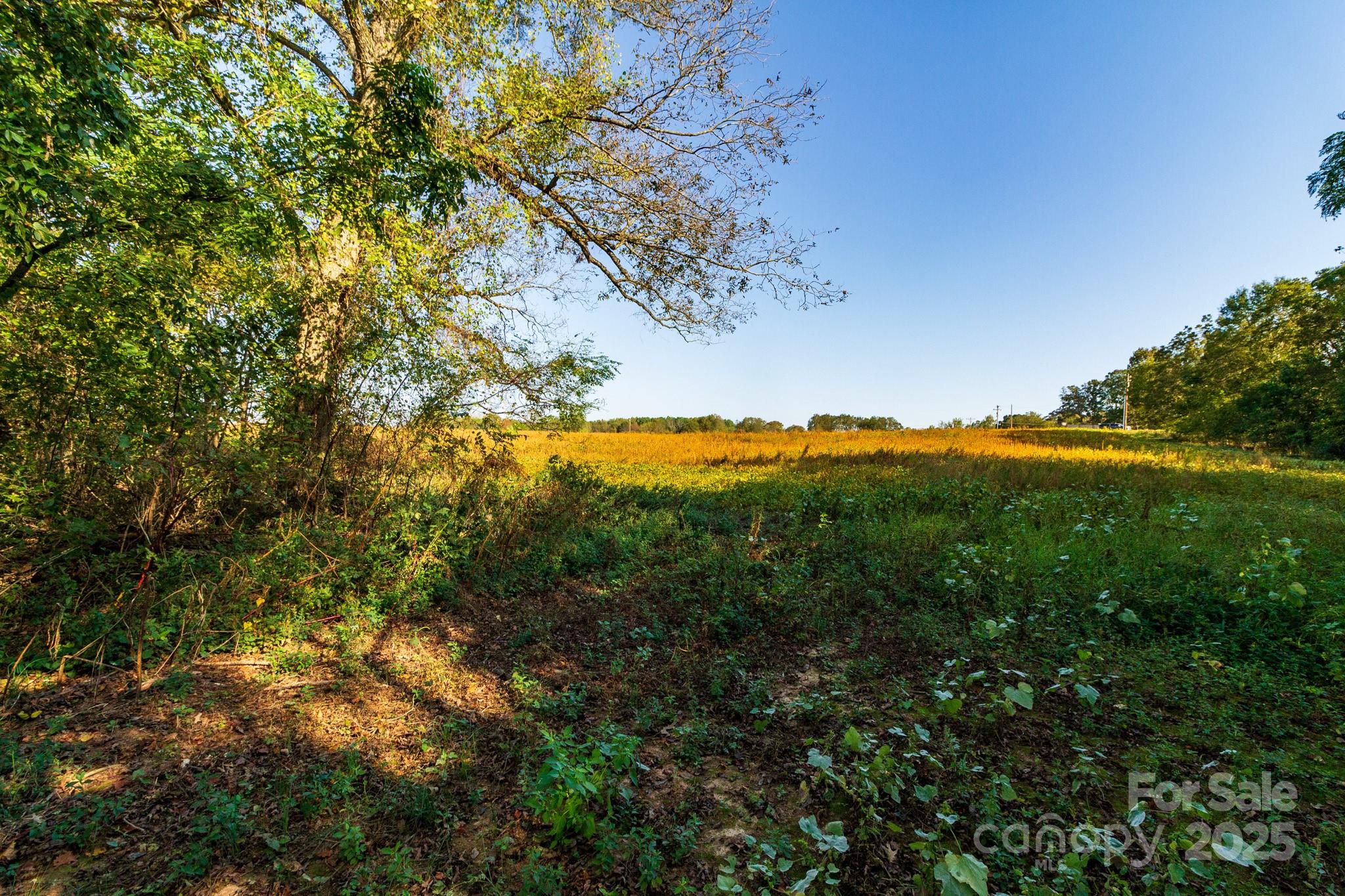 00 Lattimore Road Property Photo 19