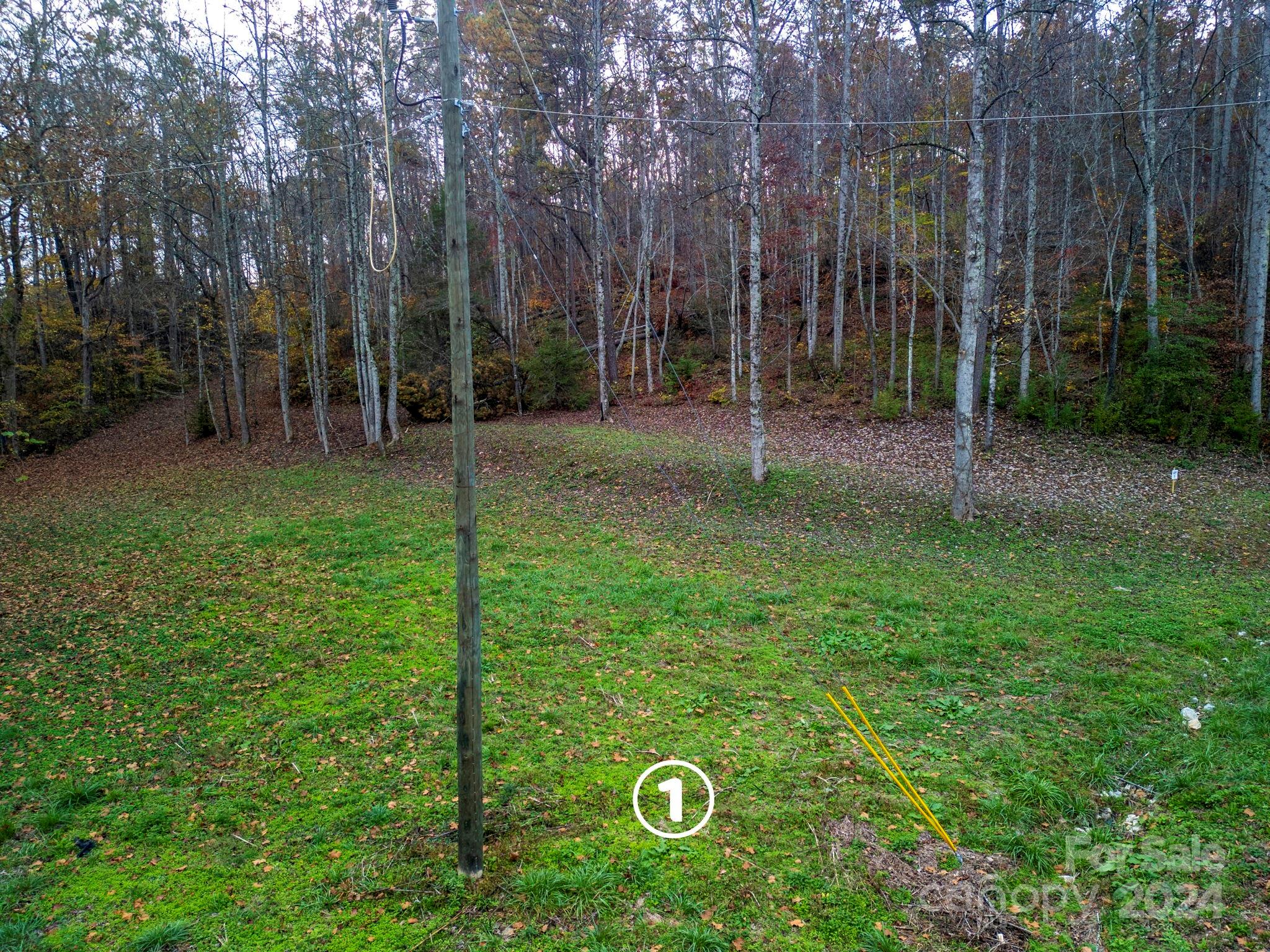 4187302 Property Photo 5