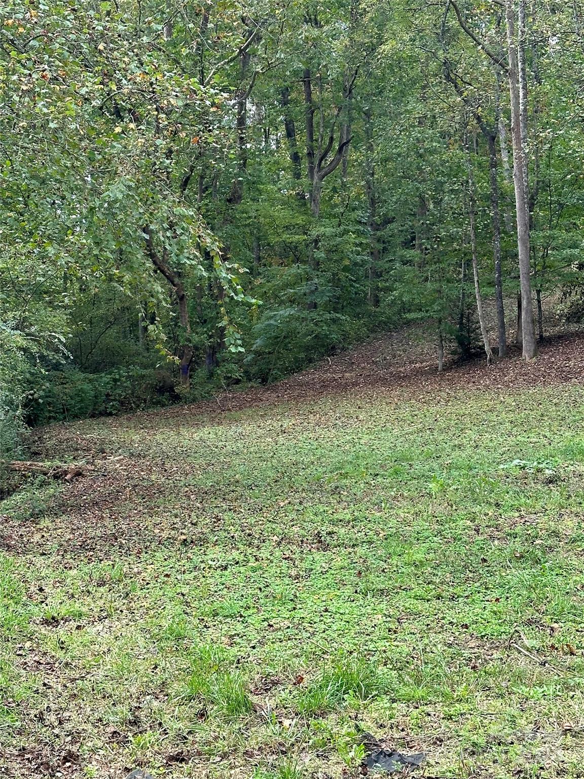 4187302 Property Photo 8