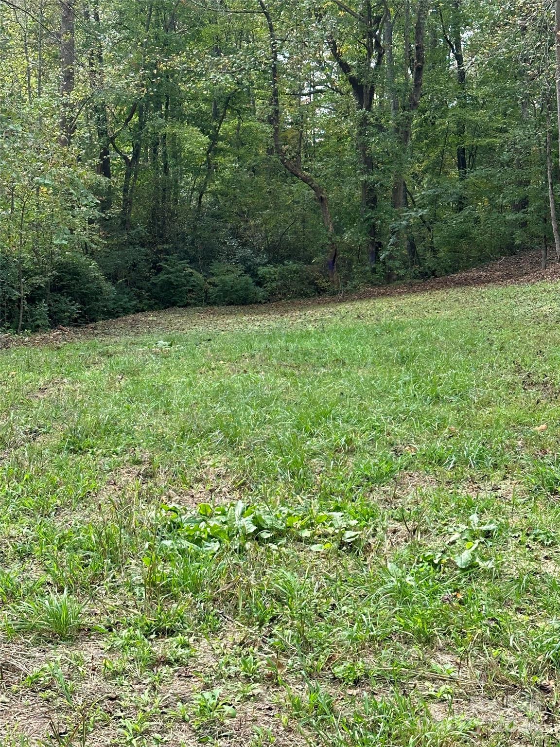 4187302 Property Photo 9