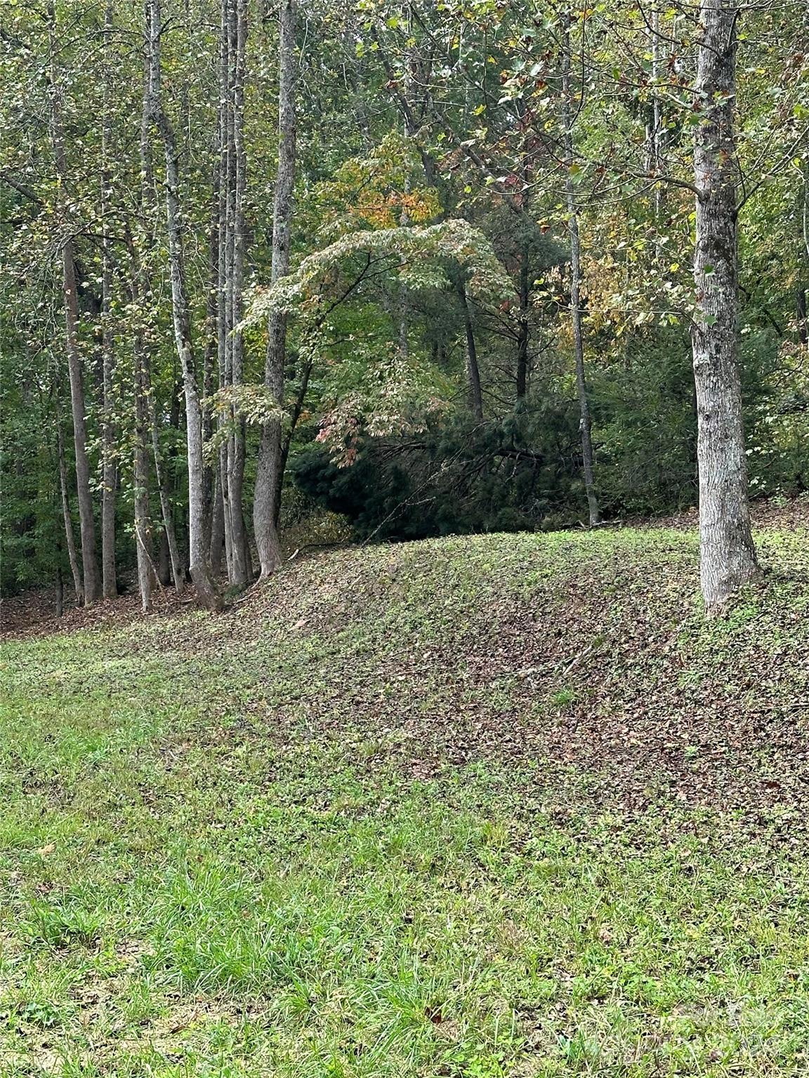 4187302 Property Photo 10