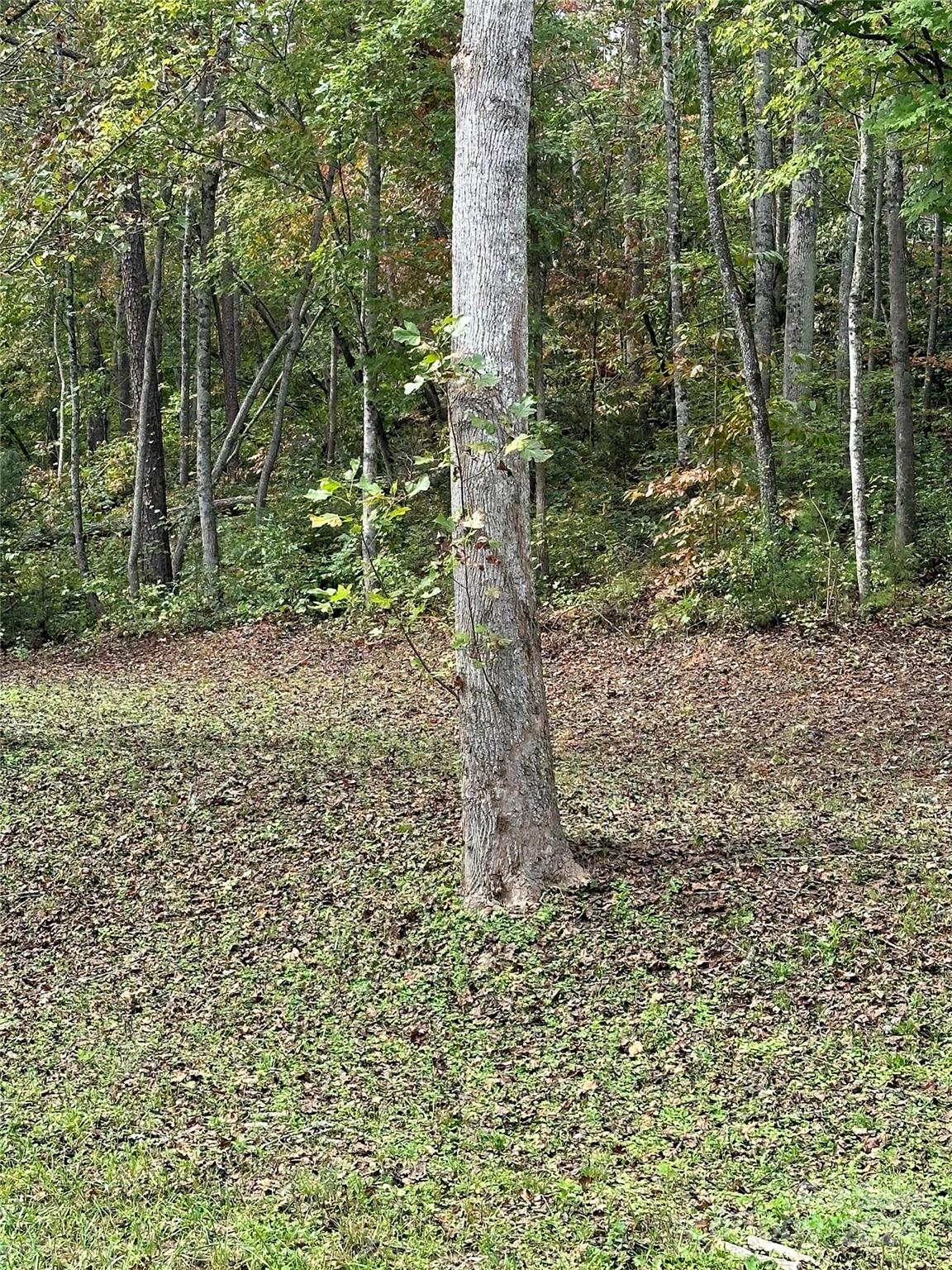 4187302 Property Photo 11