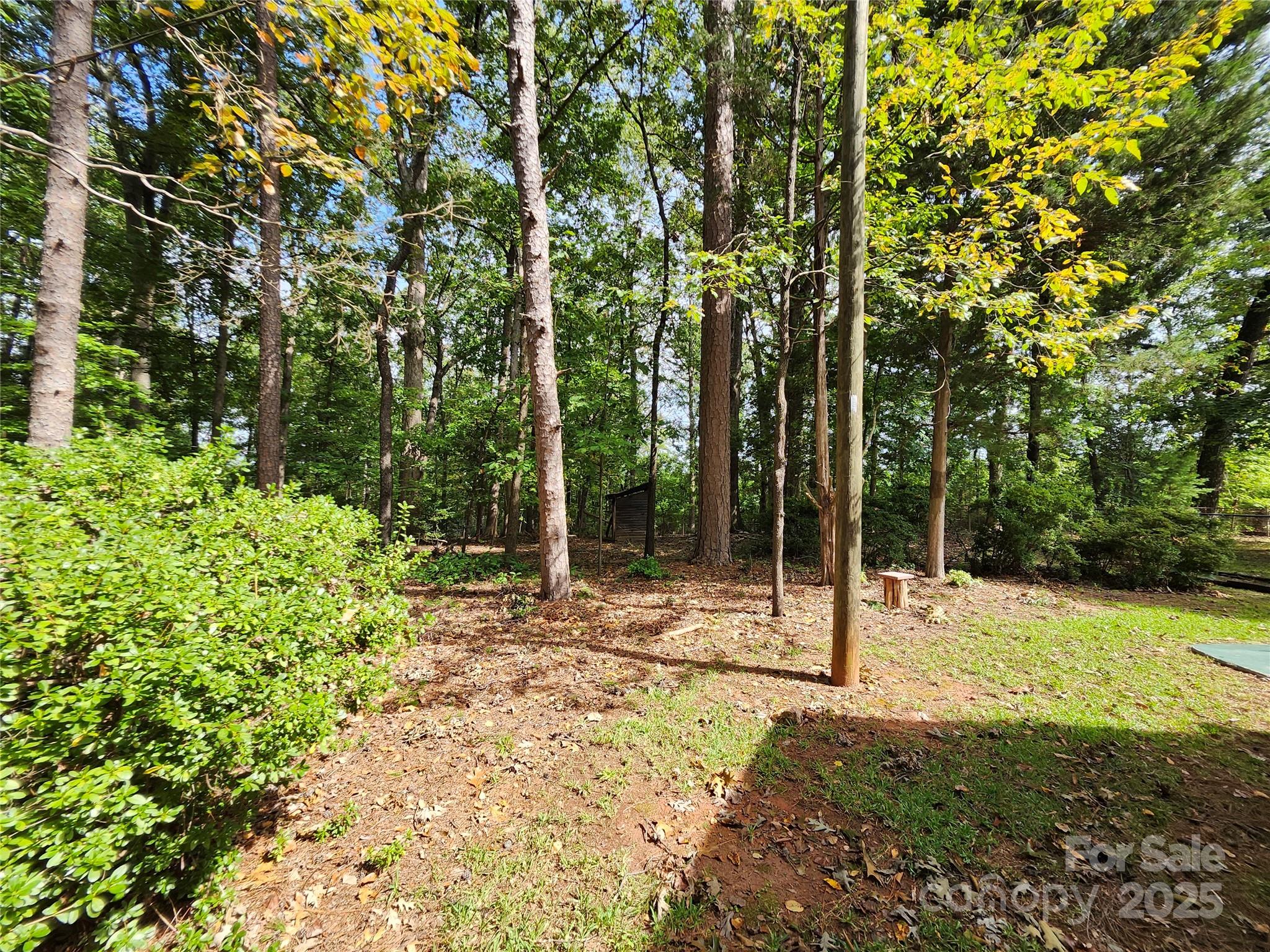331 Sunderland Road Property Photo 27