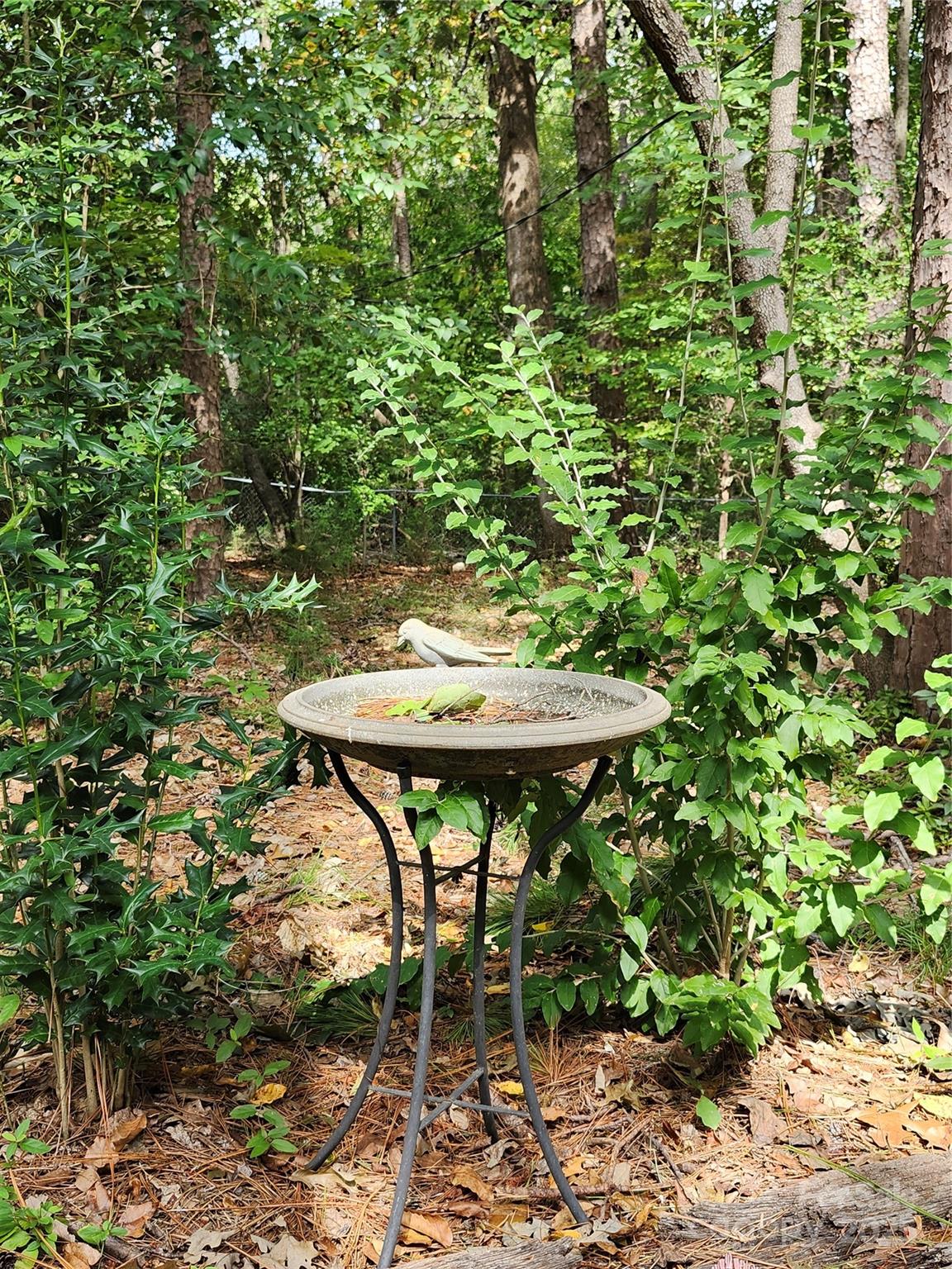331 Sunderland Road Property Photo 28