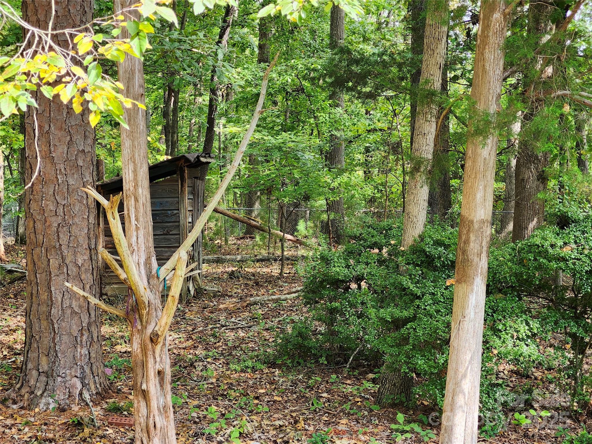 331 Sunderland Road Property Photo 29