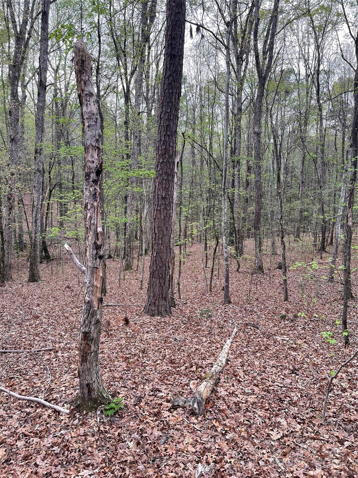 2390 Baron Dekalb Road Property Photo 9