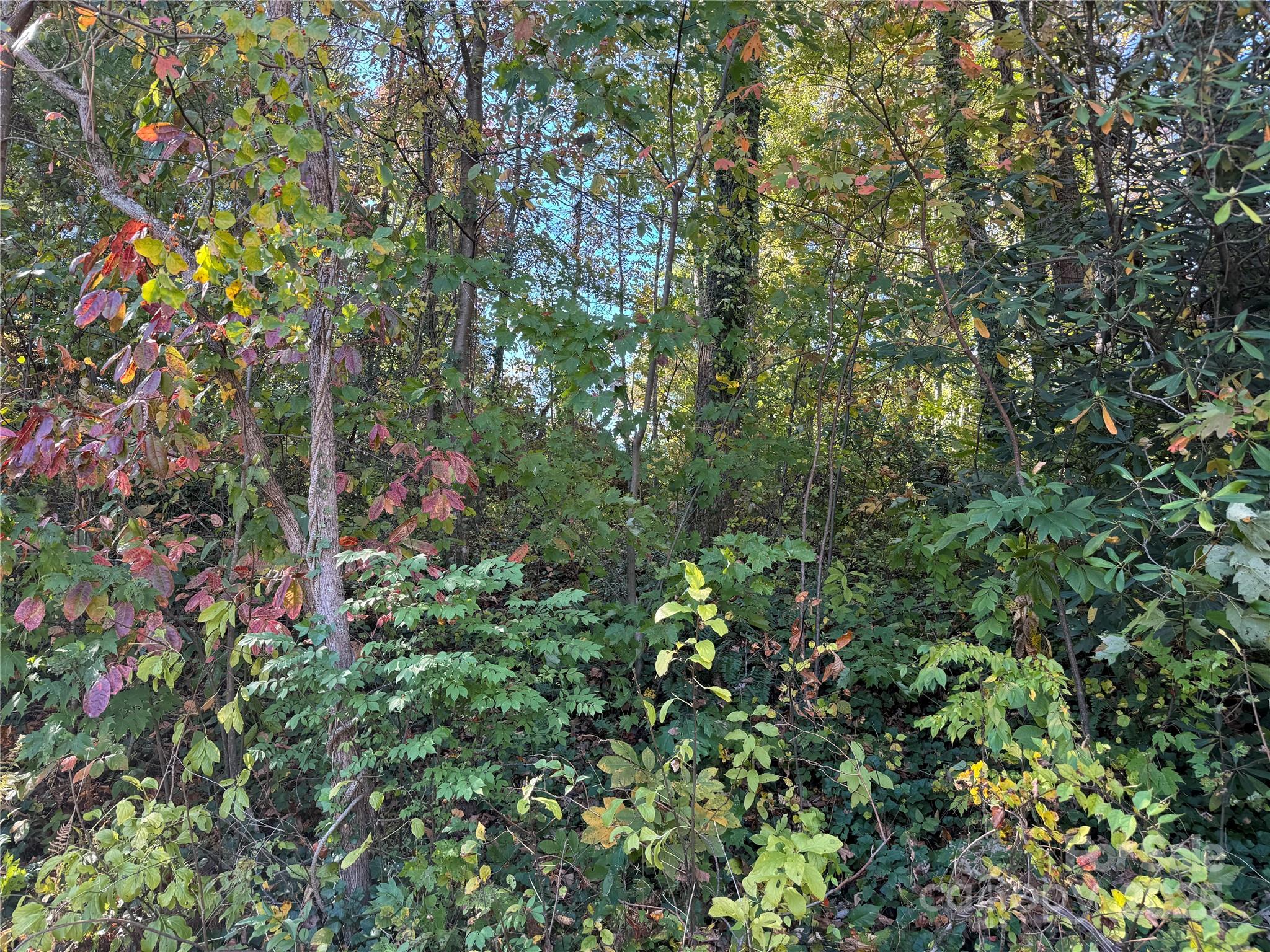 00 Upper Ridgewood Boulevard Property Photo 3