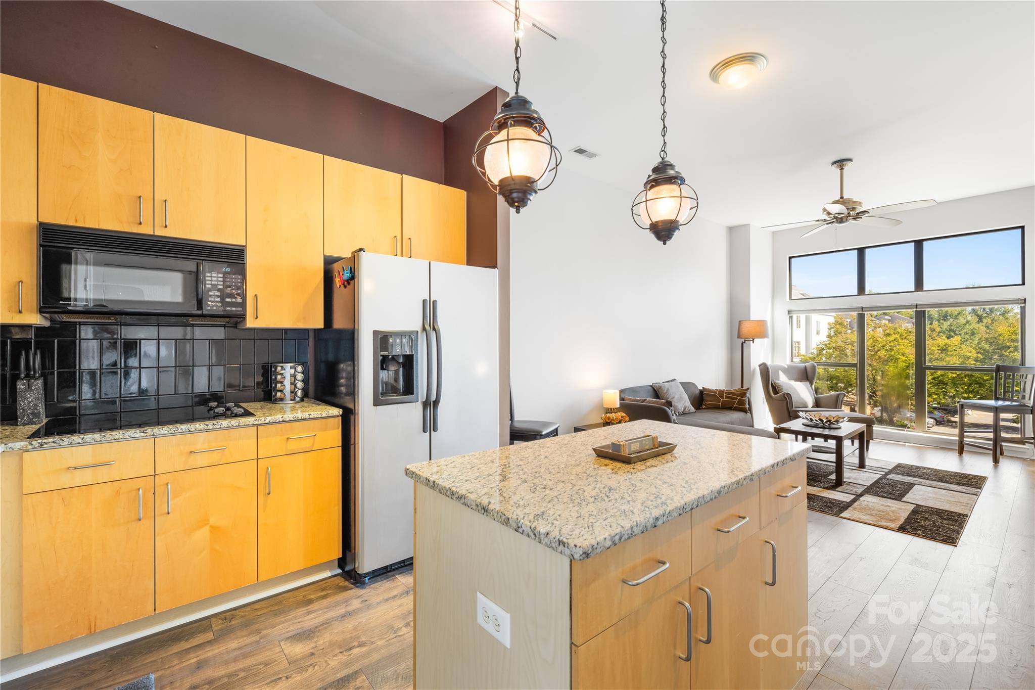 706 N Davidson Street Property Photo 7