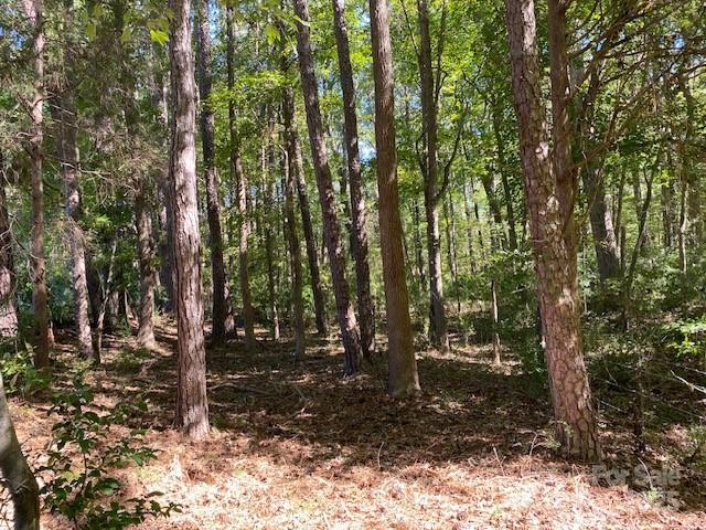 6045 C Campbell Road Property Photo 4