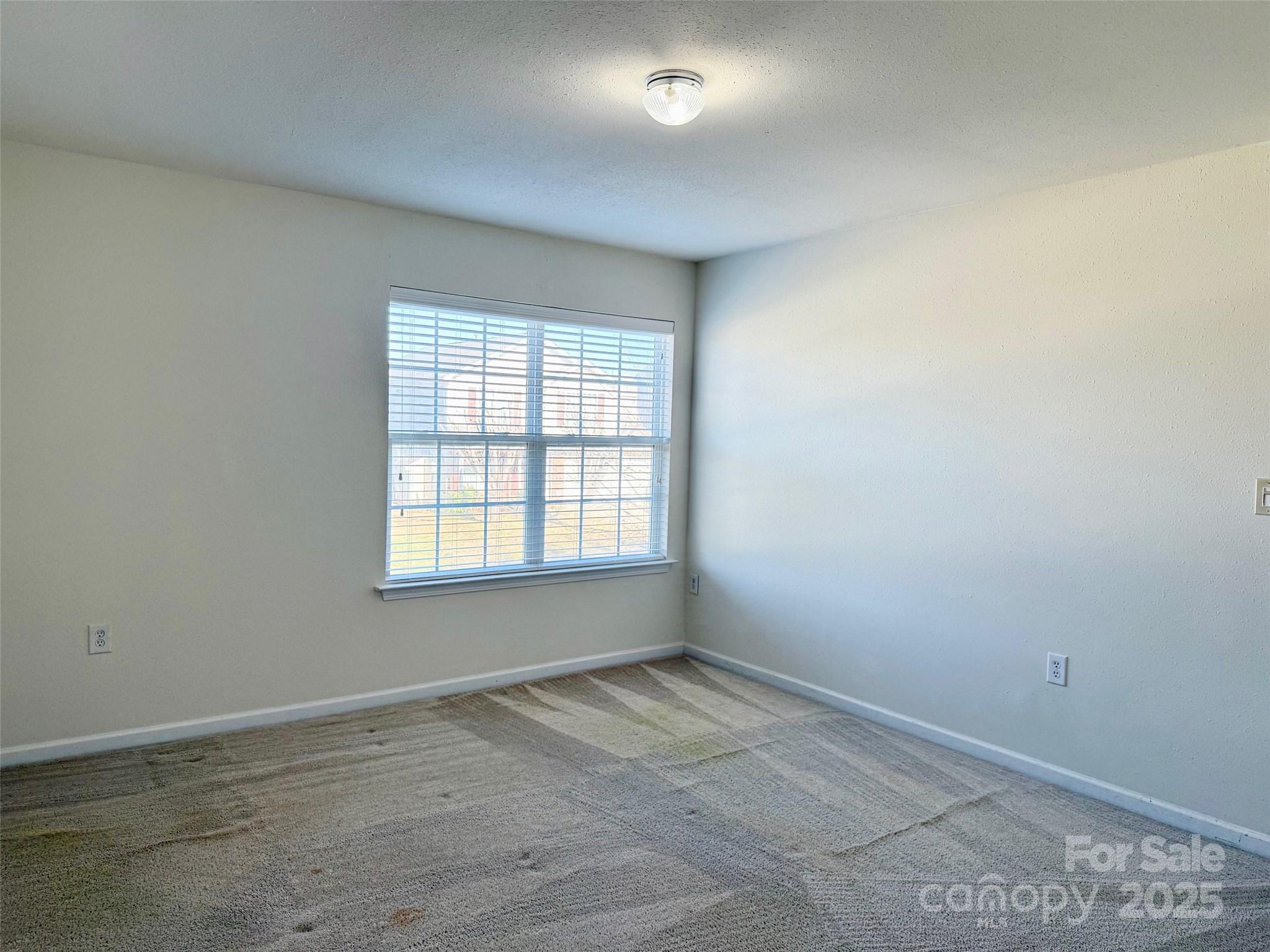 1239 Jordans Pond Lane Property Photo 13
