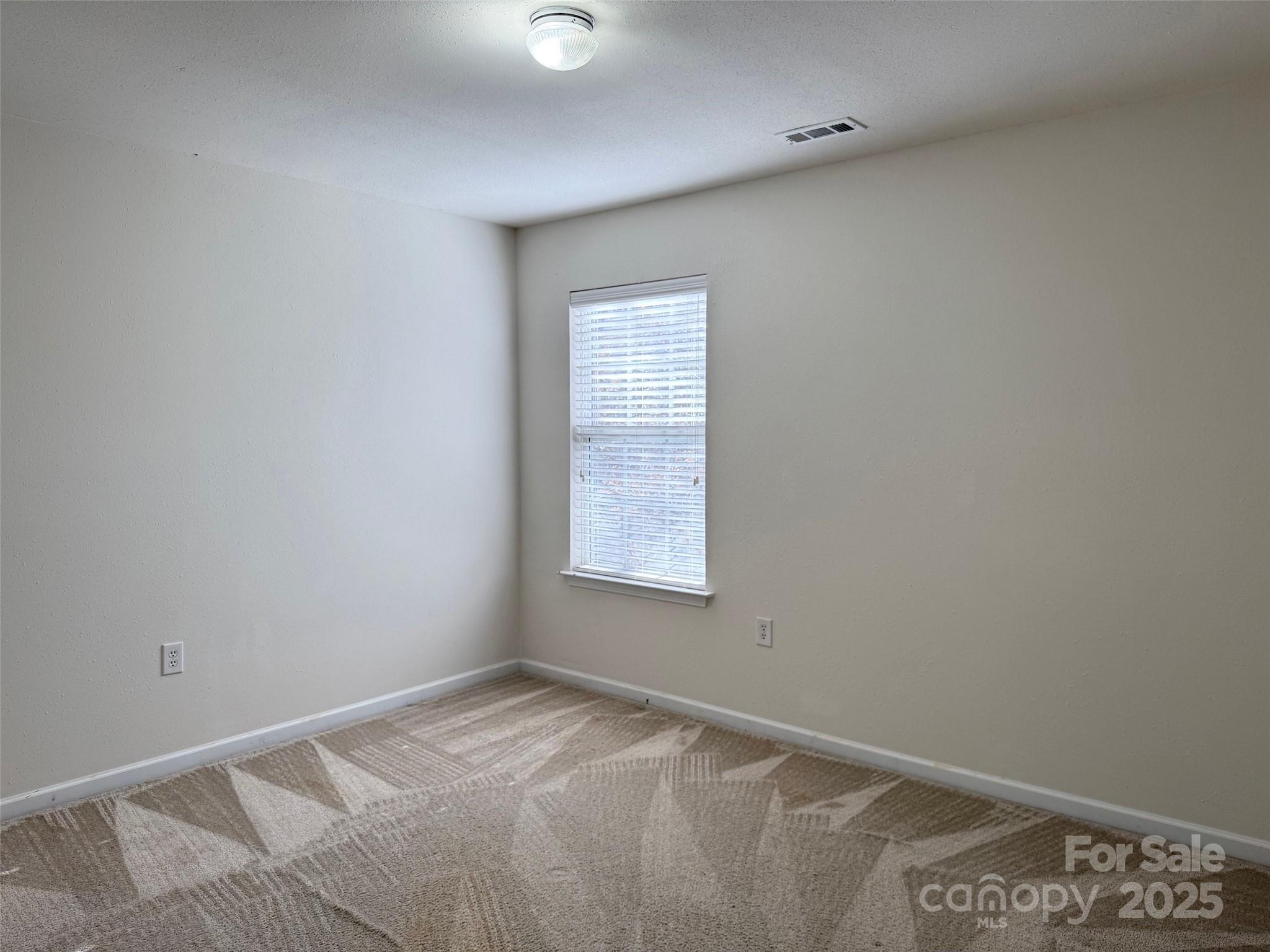 1239 Jordans Pond Lane Property Photo 15