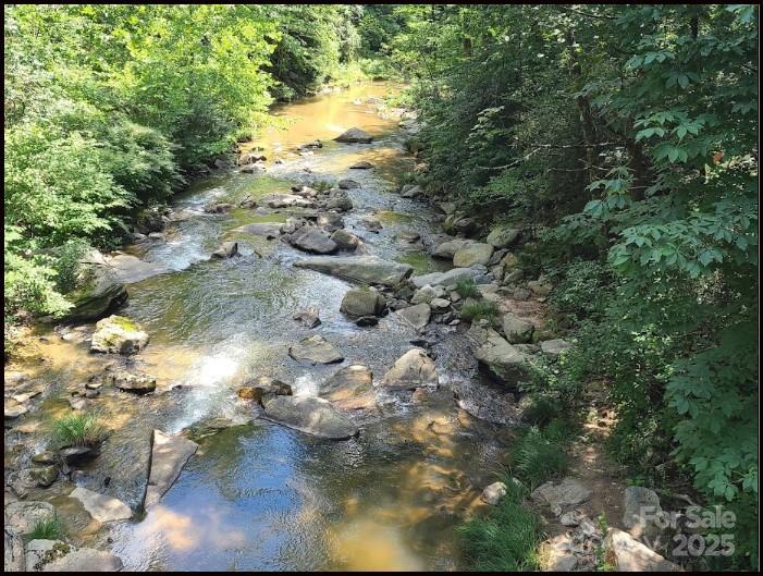 6.96 Acres Big Hungry Road Property Photo 9