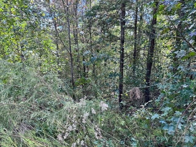 V/l Ridge Point Road 9 Property Photo 8
