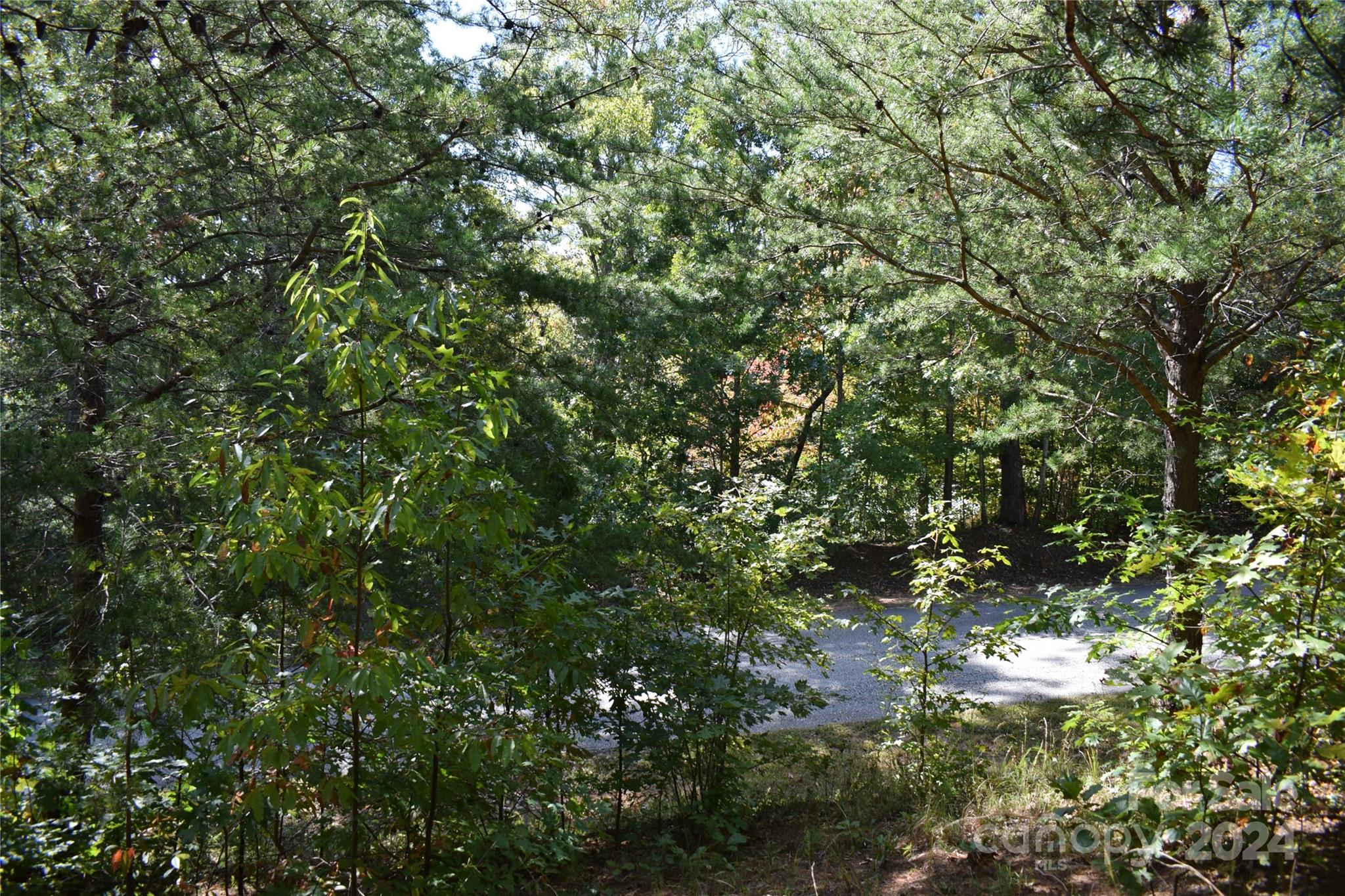 0 Holland Drive 3 Property Photo 2