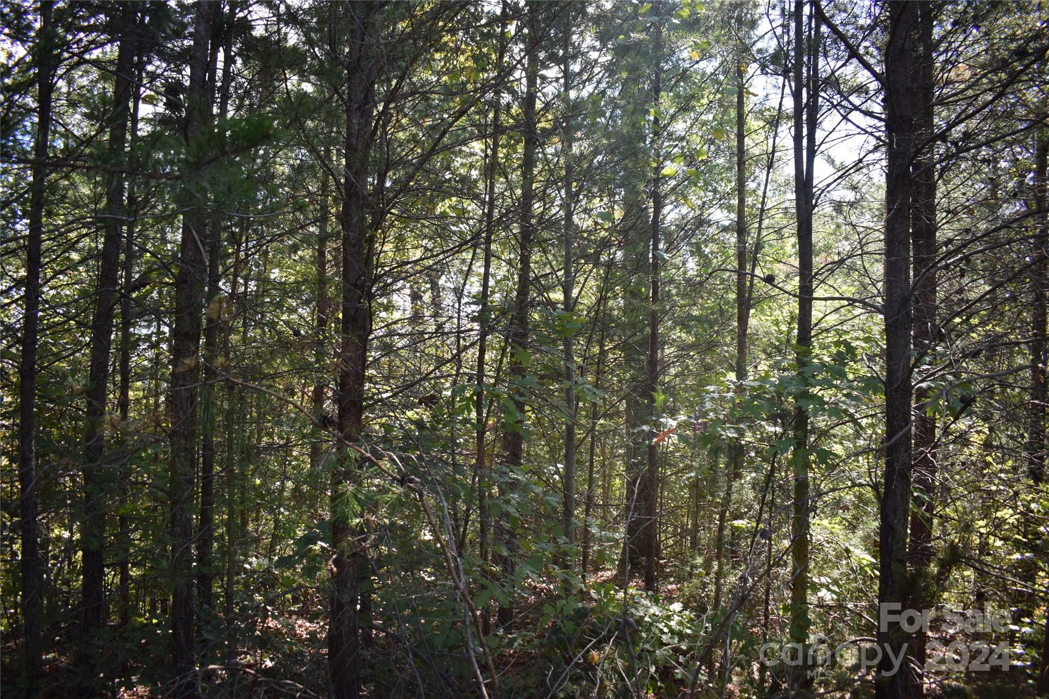 0 Holland Drive 3 Property Photo 6