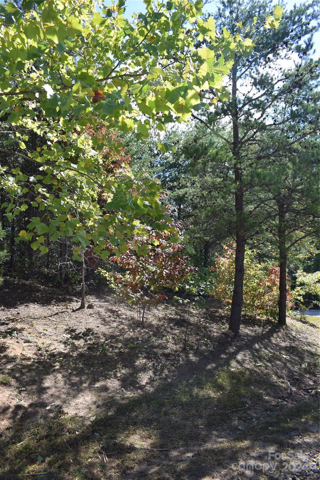 0 Holland Drive 3 Property Photo 11