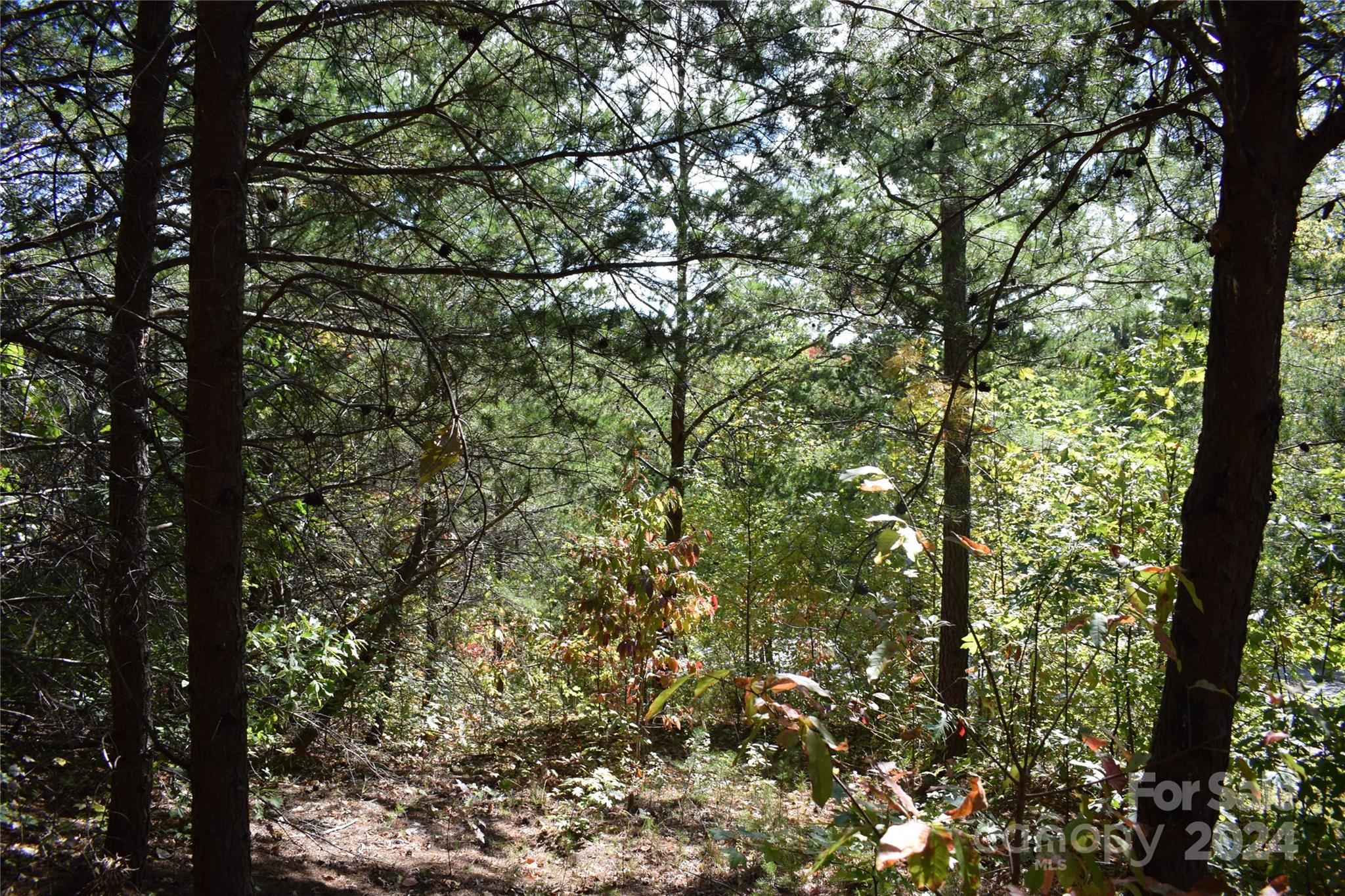 0 Holland Drive 3 Property Photo 12