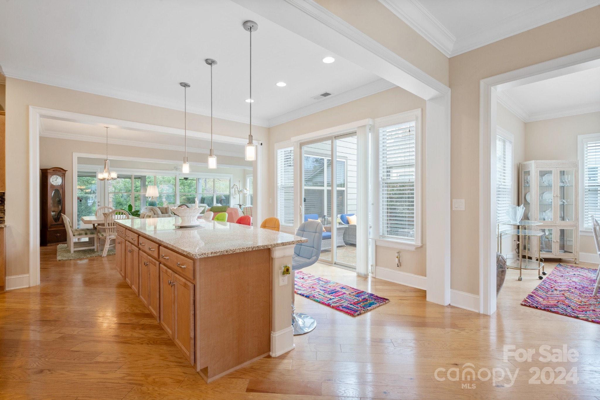 499 Granite Lake Court Property Photo 6