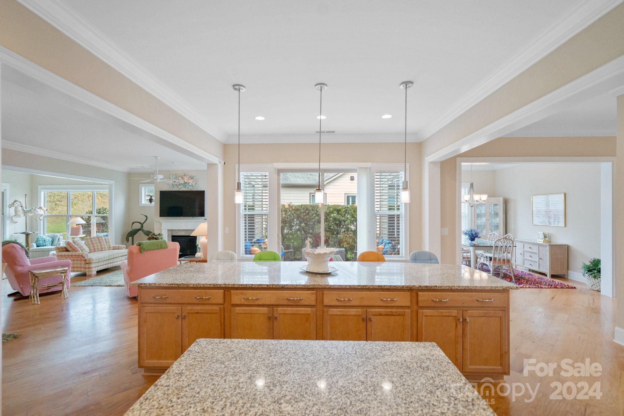499 Granite Lake Court Property Photo 7
