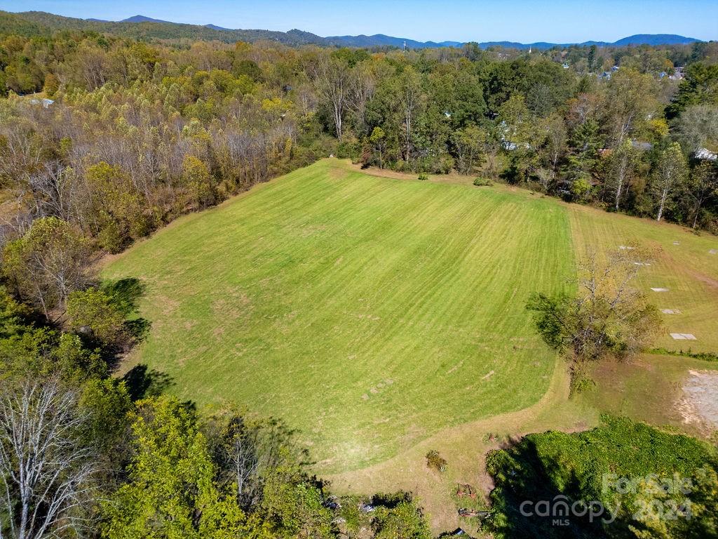450 Rosman Highway Property Photo 9