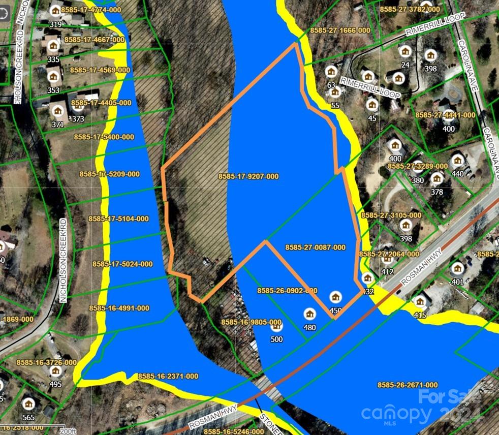 450 Rosman Highway Property Photo 10