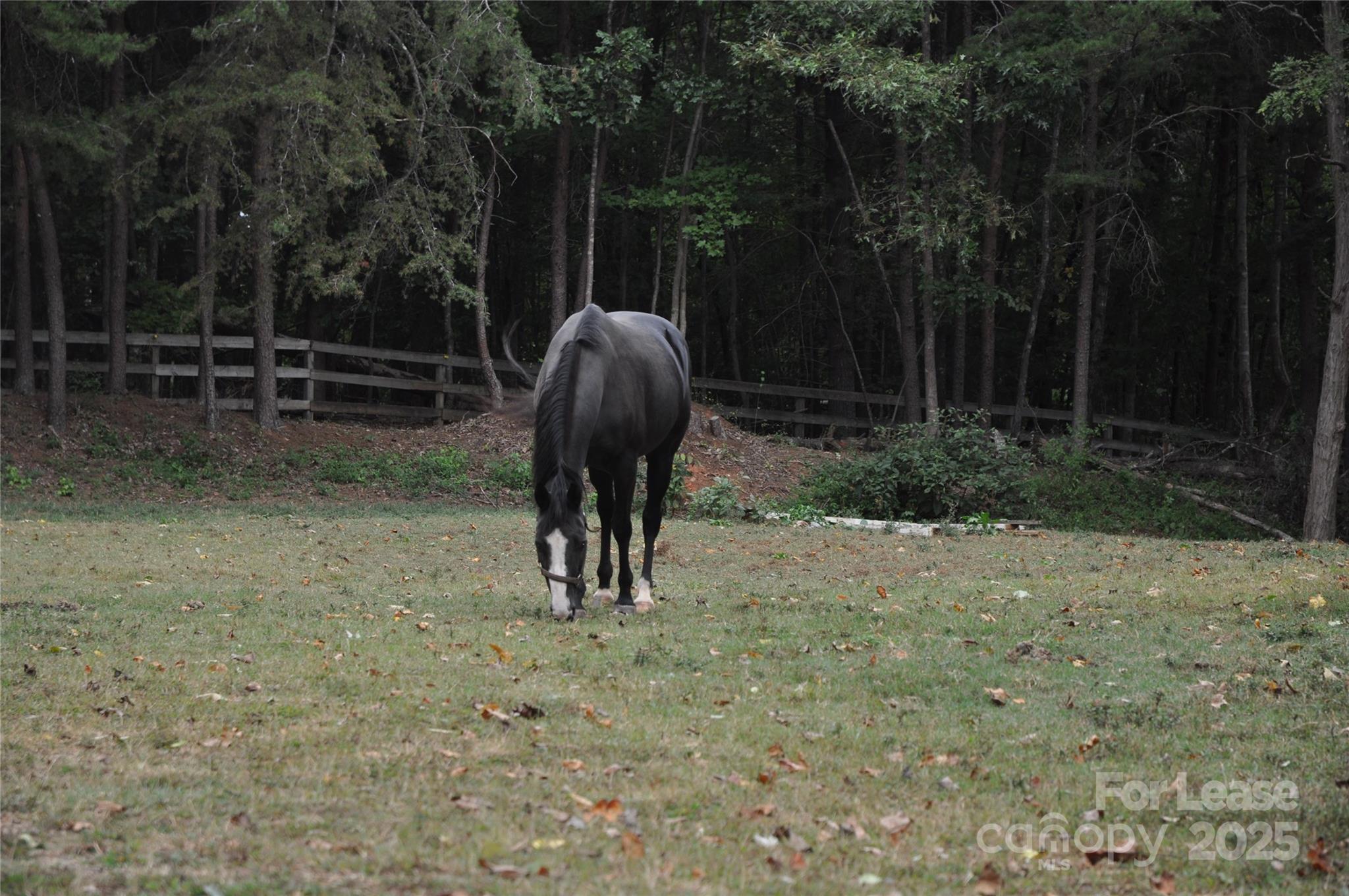 196 Ridge Road Property Photo 15
