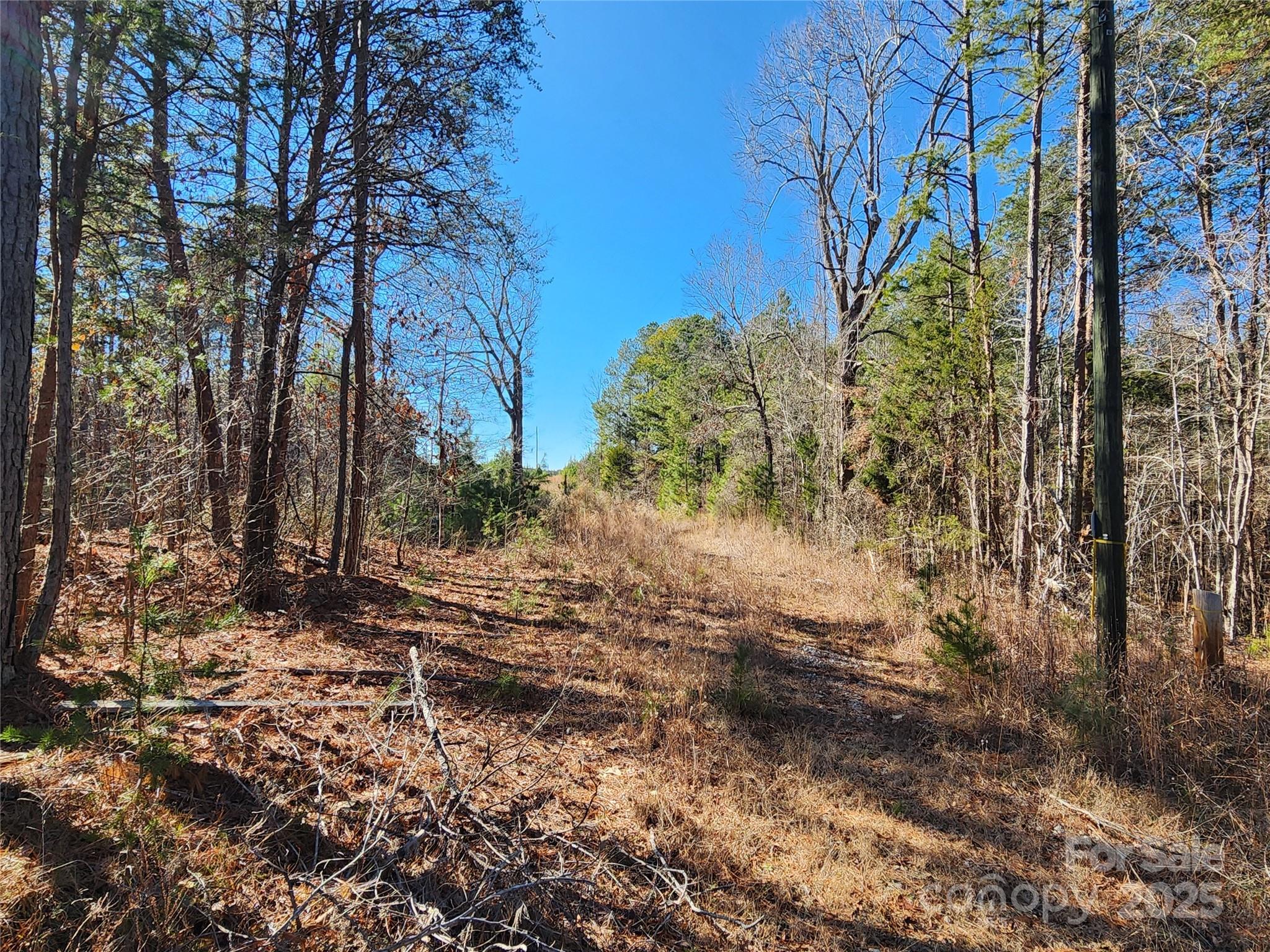 1342 Mcknight Road Property Photo 13
