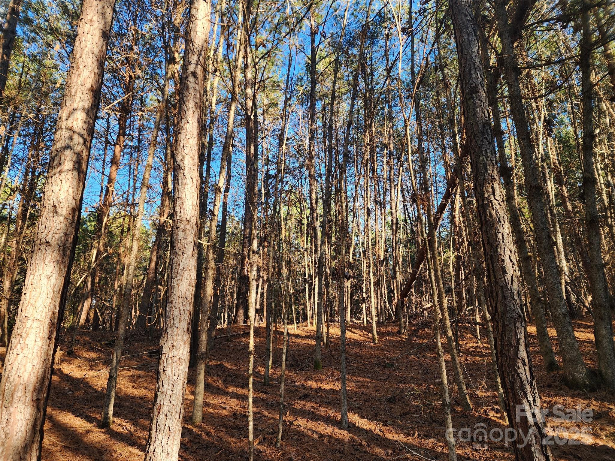 1342 Mcknight Road Property Photo 19