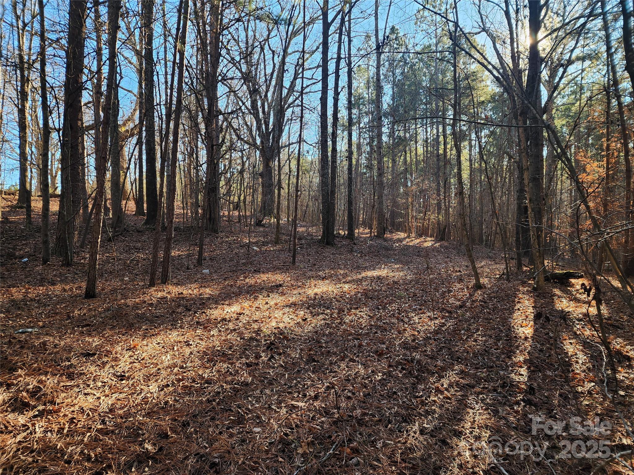 1342 Mcknight Road Property Photo 23